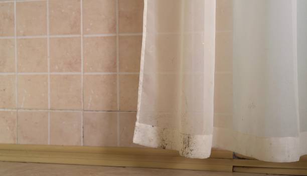 Best Mold Odor Removal Services  in Hanover, MN
