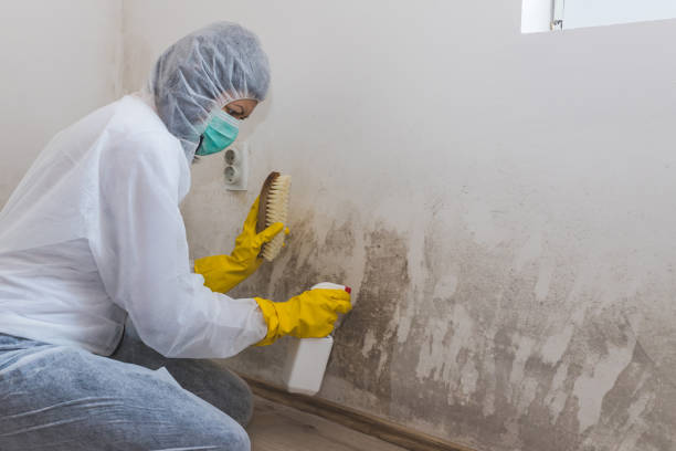 Best Air Quality Testing for Mold Spores  in Hanover, MN