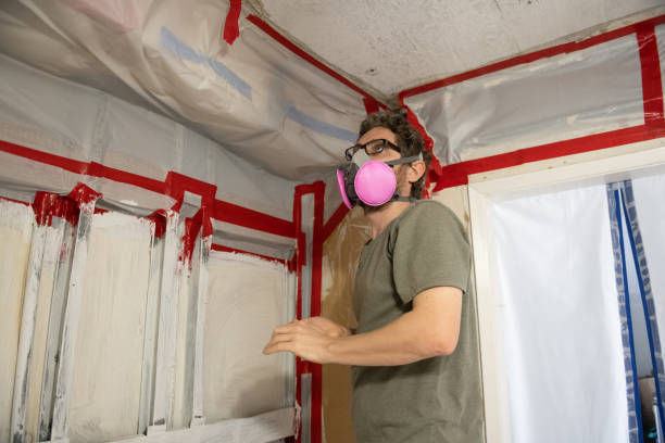 Best HVAC Mold Inspection and Cleaning  in Hanover, MN