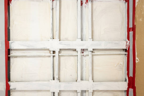 Hanover, MN Mold Removal Company