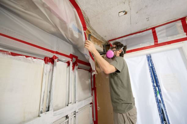 Best Water Damage & Mold Remediation  in Hanover, MN