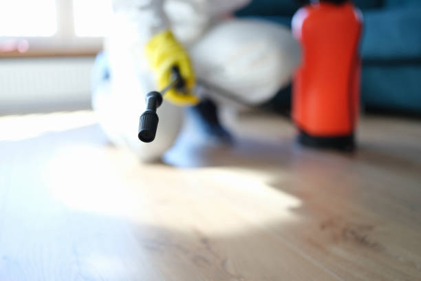 Best Attic Mold Removal  in Hanover, MN