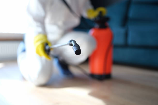 Best HVAC Mold Inspection and Cleaning  in Hanover, MN
