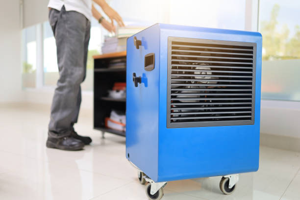 Best Comprehensive Air Testing for Mold Contaminants  in Hanover, MN