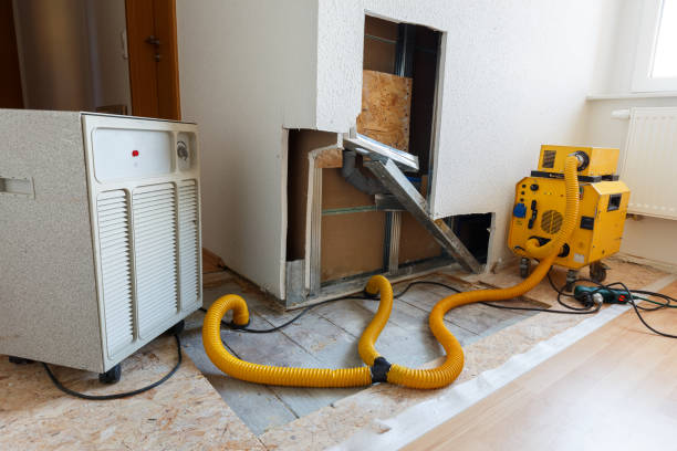Best Mold Documentation for Insurance Claims  in Hanover, MN