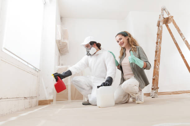 Mold Odor Removal Services in Hanover, MN