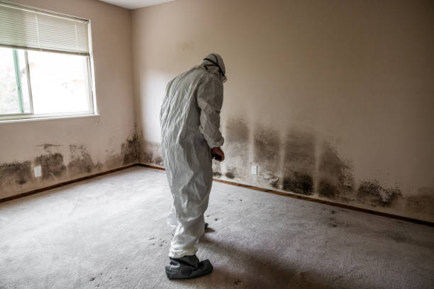 Best Biohazard Mold Removal  in Hanover, MN