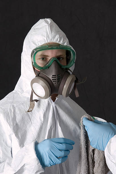 Best Environmental Consulting for Mold Prevention  in Hanover, MN
